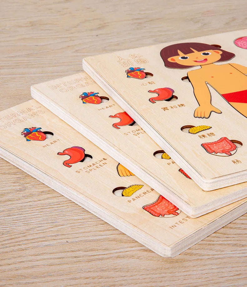 Montessori Body Puzzle