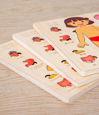 Montessori Body Puzzle