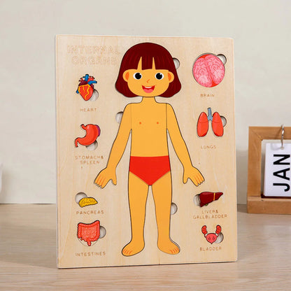 Montessori Body Puzzle