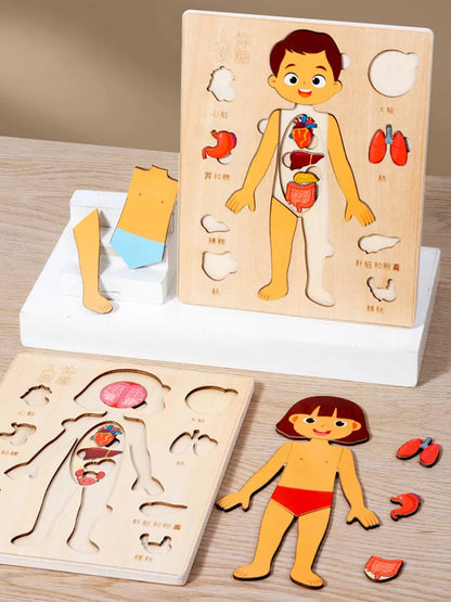 Montessori Body Puzzle