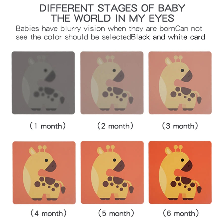 Baby Flash Cards
