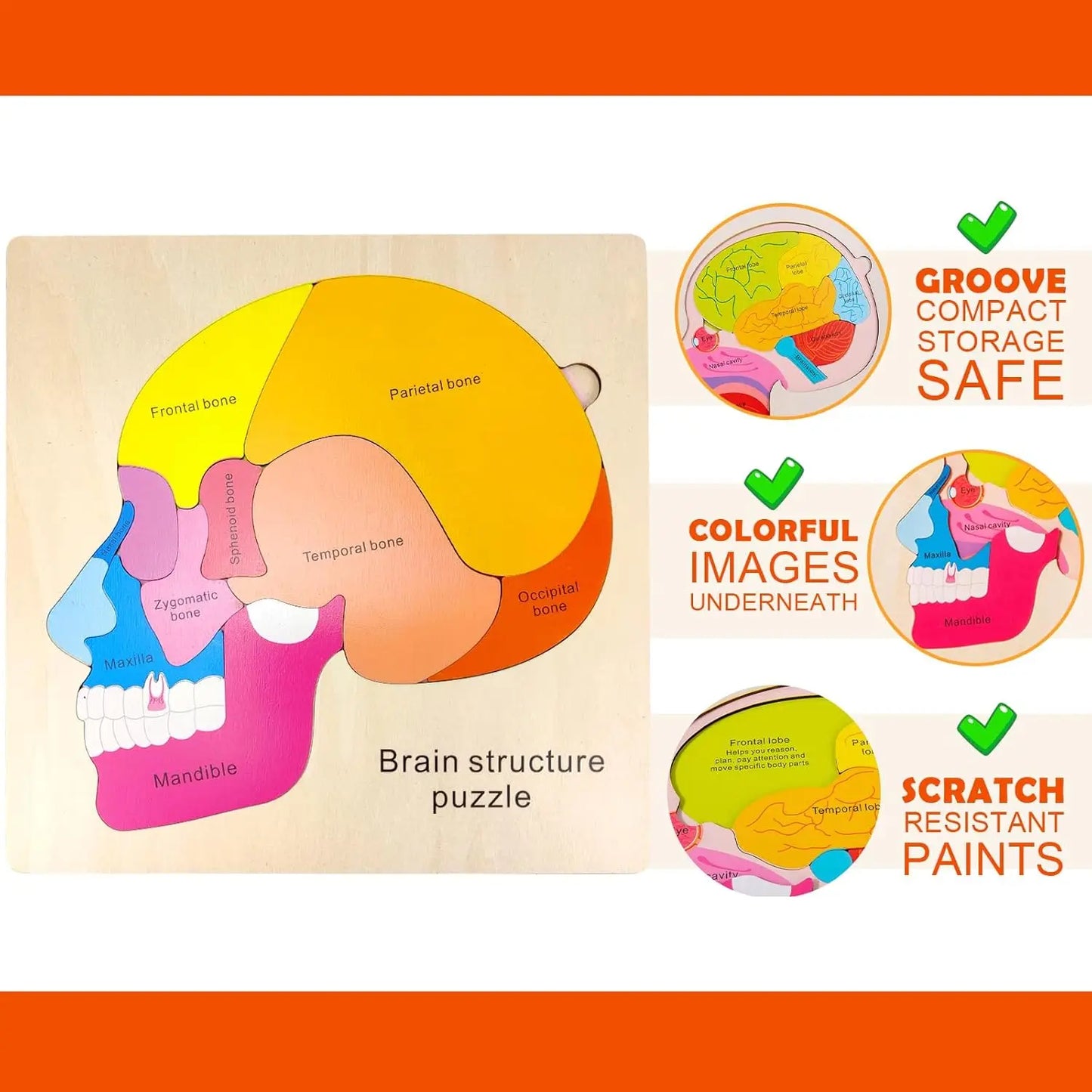Montessori Body Puzzle