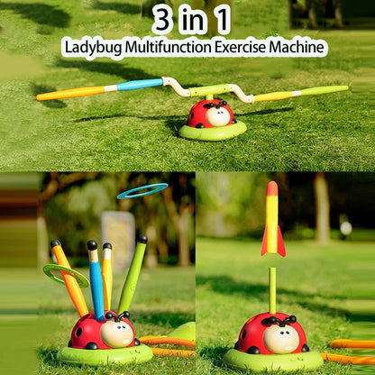 Ladybug Jump Toy