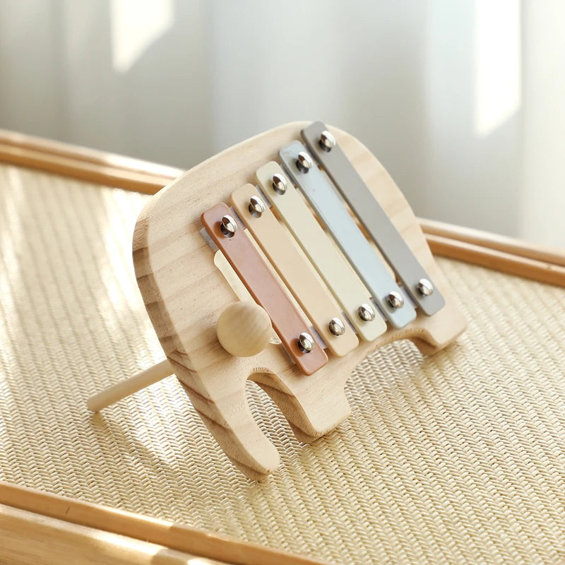 Montessori Music Set