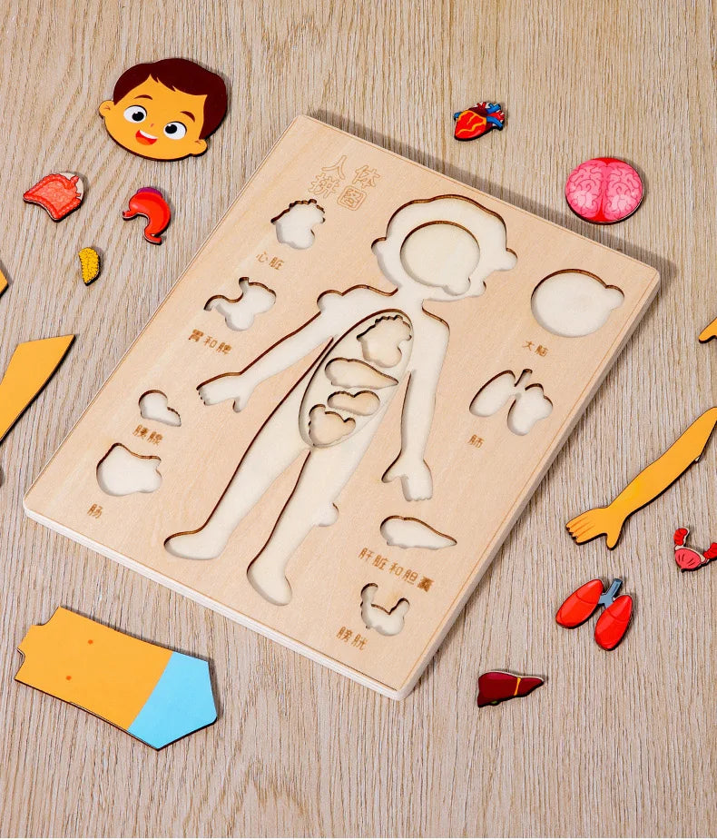 Montessori Body Puzzle