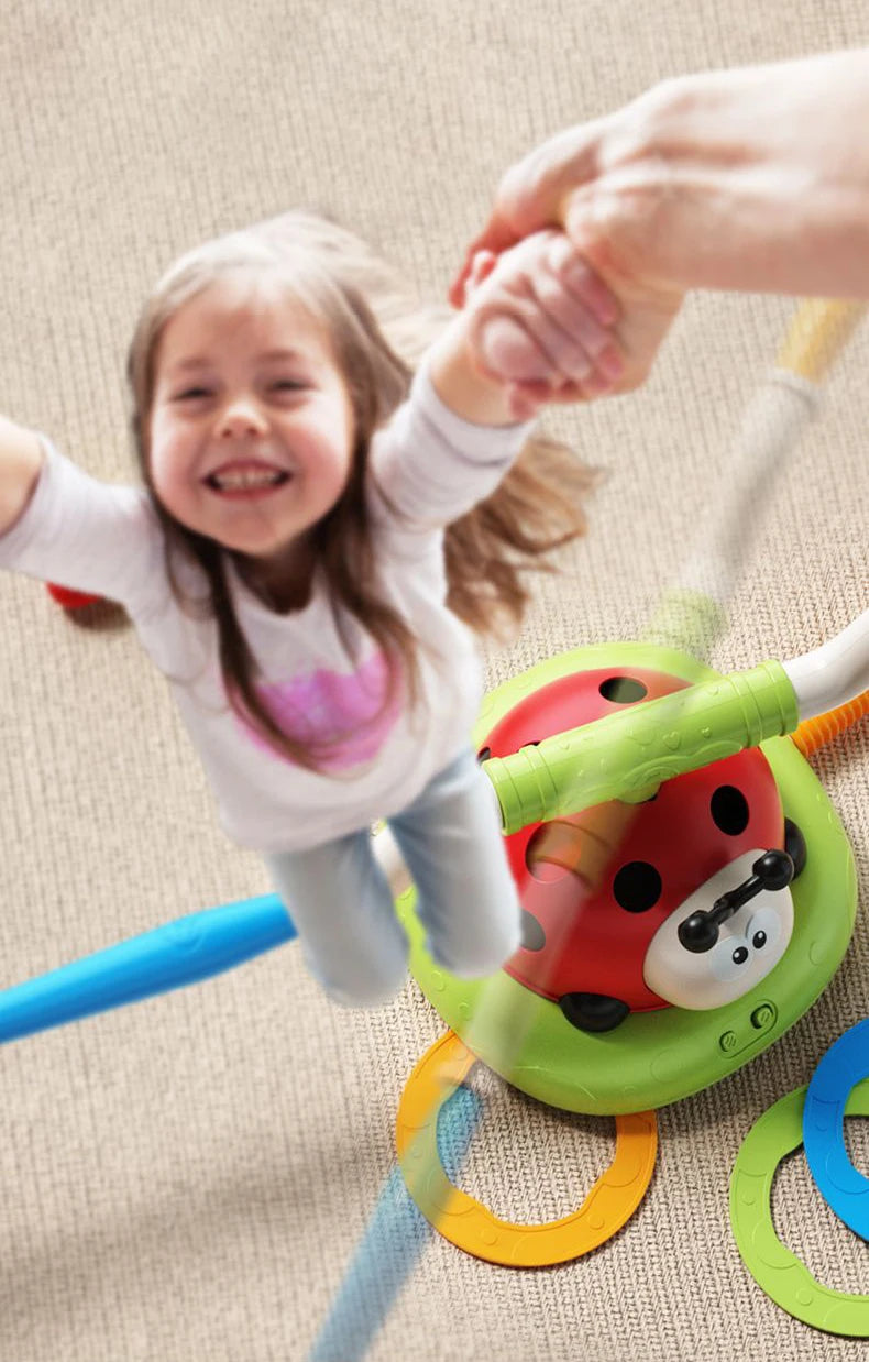 Ladybug Jump Toy