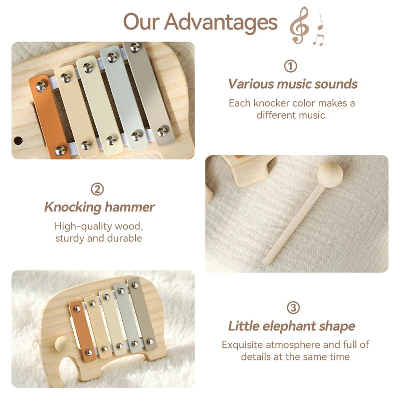 Montessori Music Set