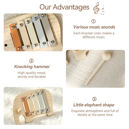Montessori Music Set