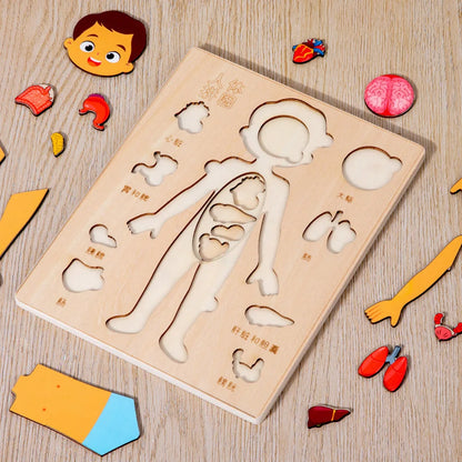 Montessori Body Puzzle