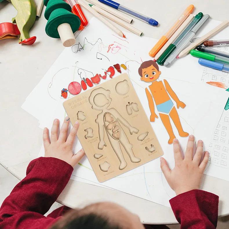 Montessori Body Puzzle