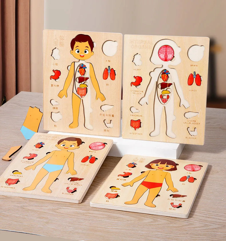 Montessori Body Puzzle