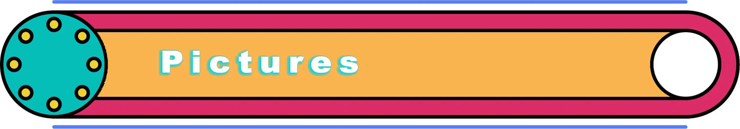 Montessori Animal Puzzle