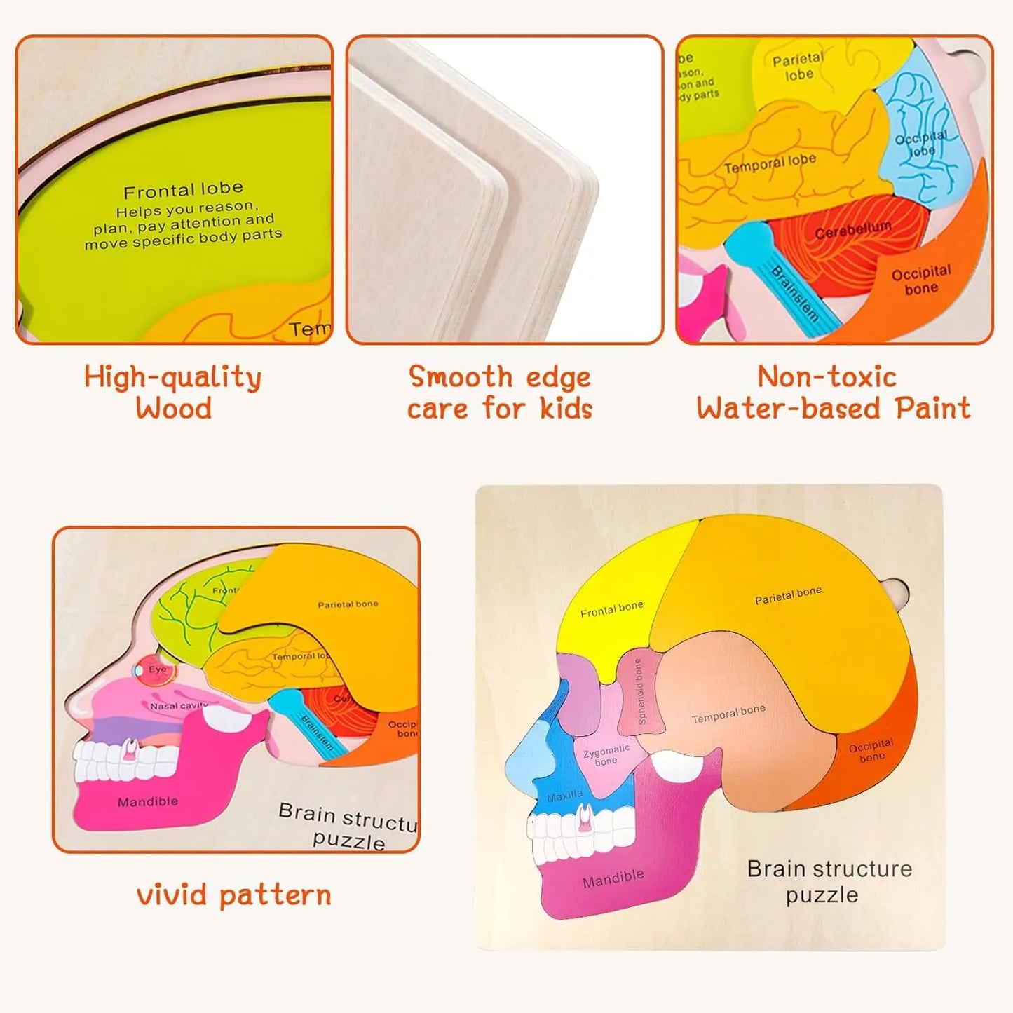 Montessori Body Puzzle