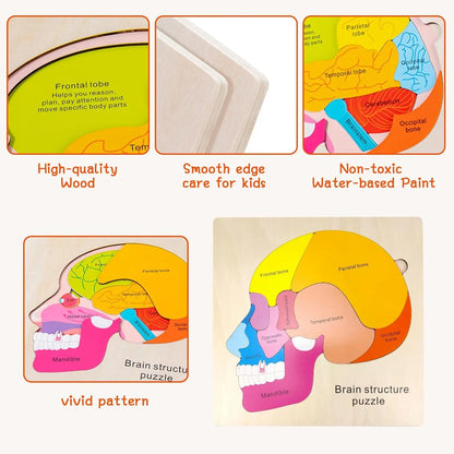Montessori Body Puzzle