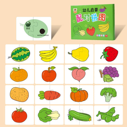Montessori Cognitive Cards