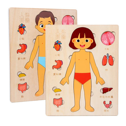 Montessori Body Puzzle