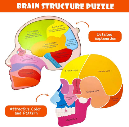 Montessori Body Puzzle