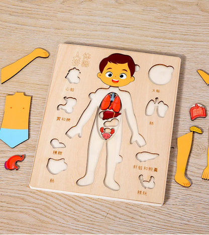 Montessori Body Puzzle